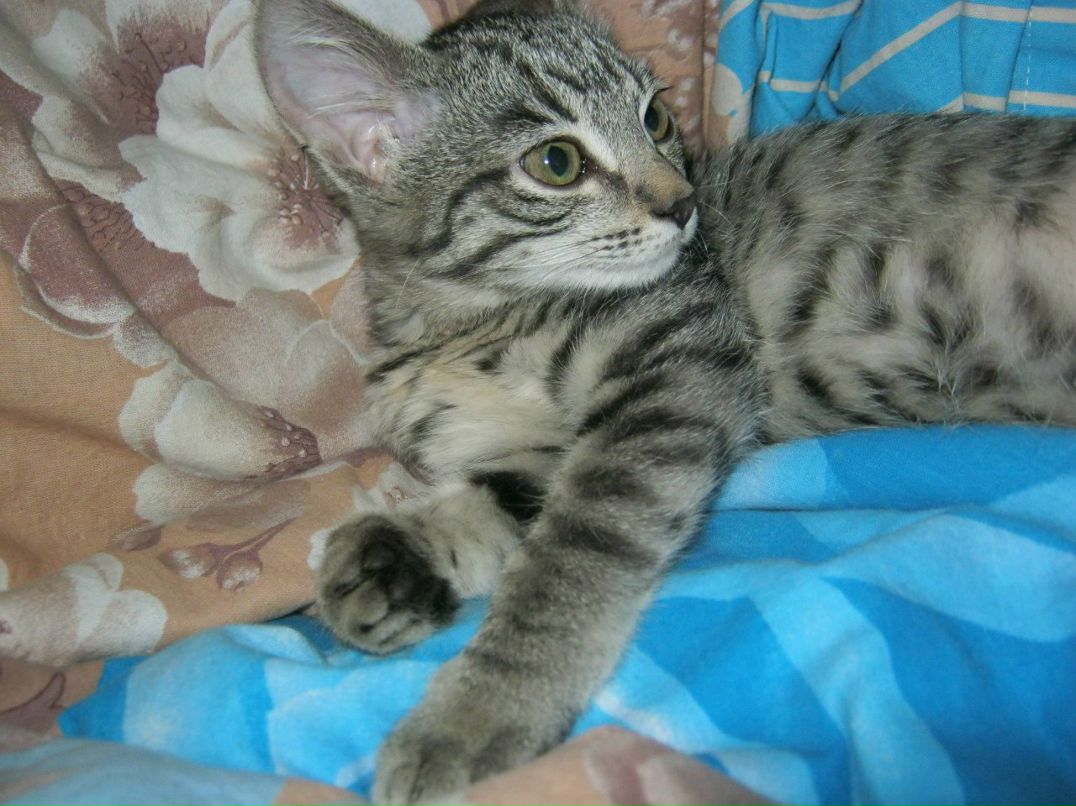 Лариса Ганченко | Норильск