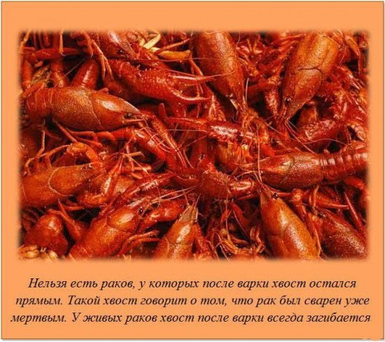 Максим Кошман Александрович | Омск