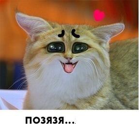 Карина Джумаева جمعه | 