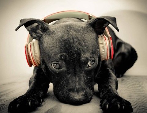 Саша Летова #_[DieZa]_# | Тольятти