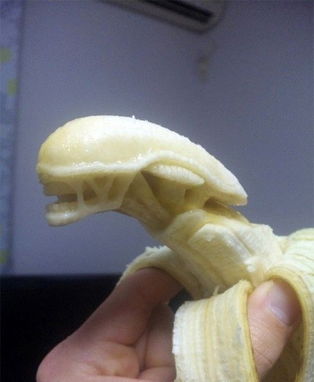 Льоха Коломиец | Донецк