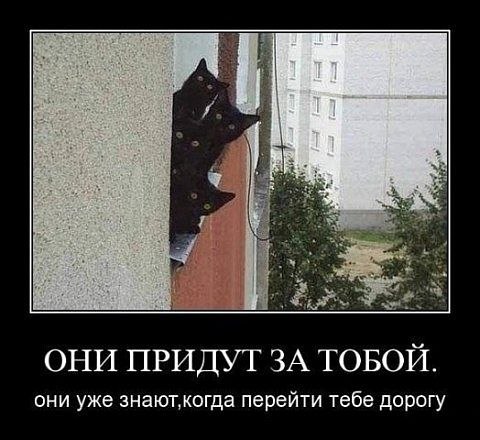 Виктория Круглова ♡·٠•●ツ ♡  ツ●•٠·♡ | Геническ