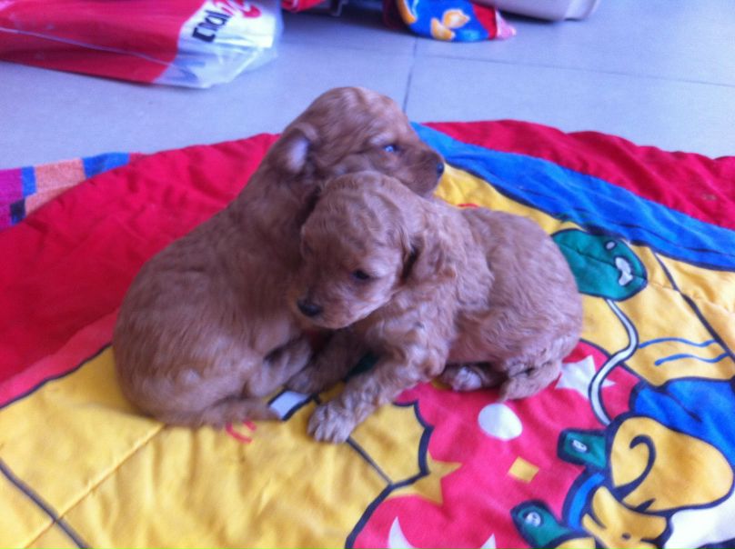 №1, Nataly Hait, Bat Yam №1, Nataly Hait, Bat Yam