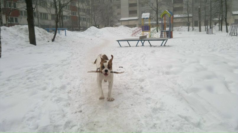 Виктор Иващенко Витальевич | Санкт-Петербург