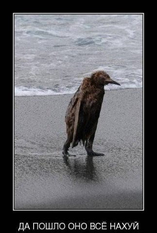 №70, Макс Пешков, 40 лет, Киев №70, Макс Пешков, 40 лет, Киев