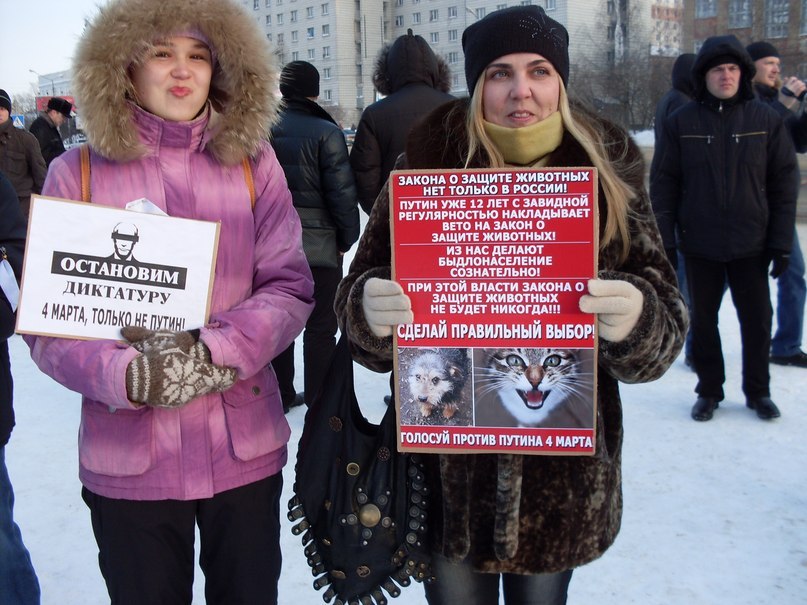 Светлана Уваркина | Сыктывкар