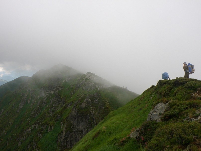 Наталія Тацишин-Войчишин | Ивано-Франковск