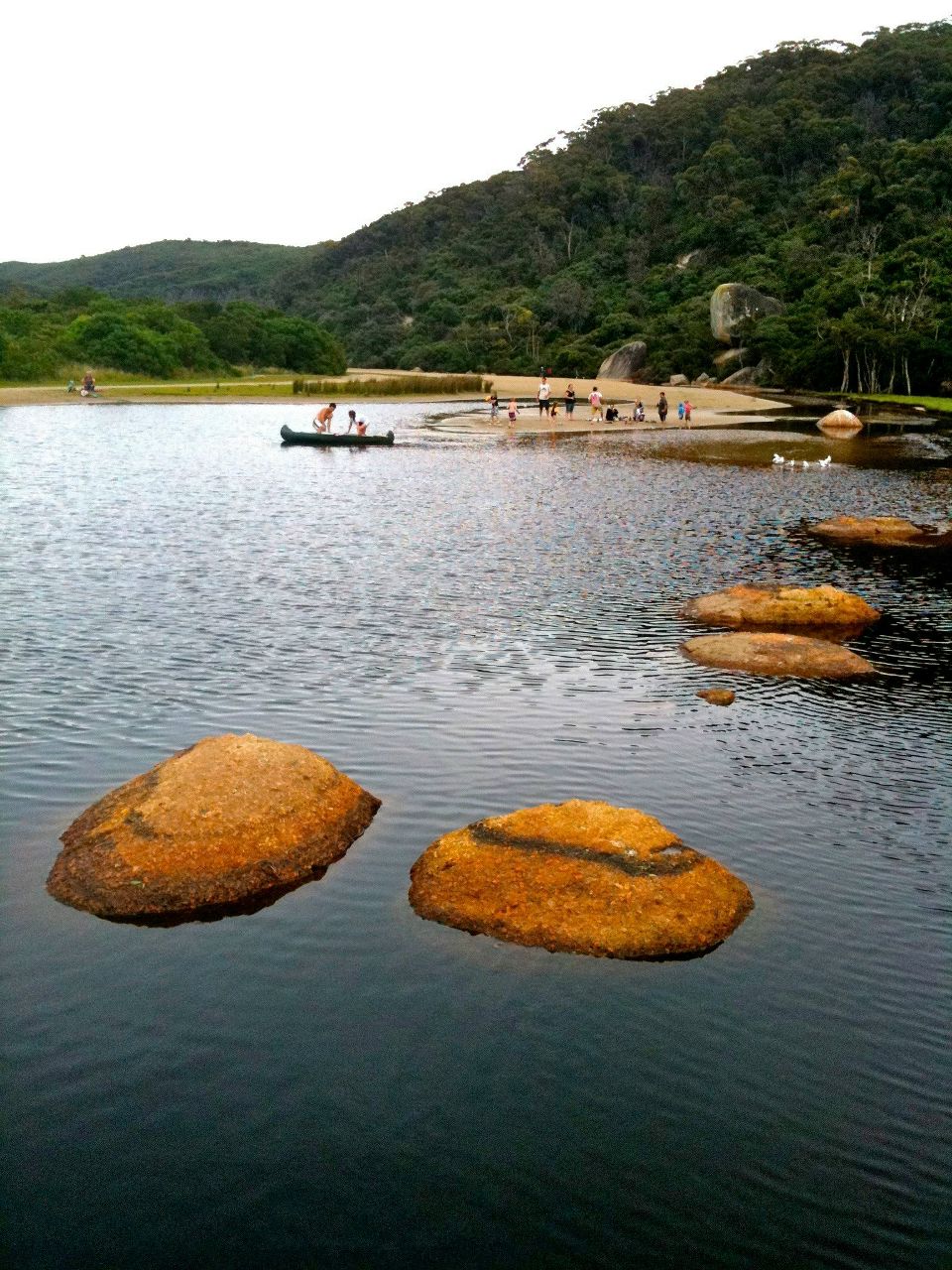 Дрю Святицкий | Melbourne