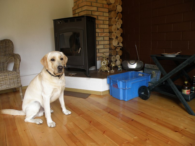 Сергей Кругляк | Санкт-Петербург