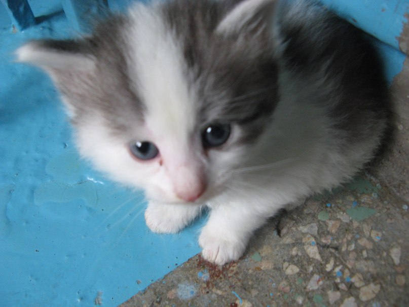 Тамара Коннова | Стерлитамак