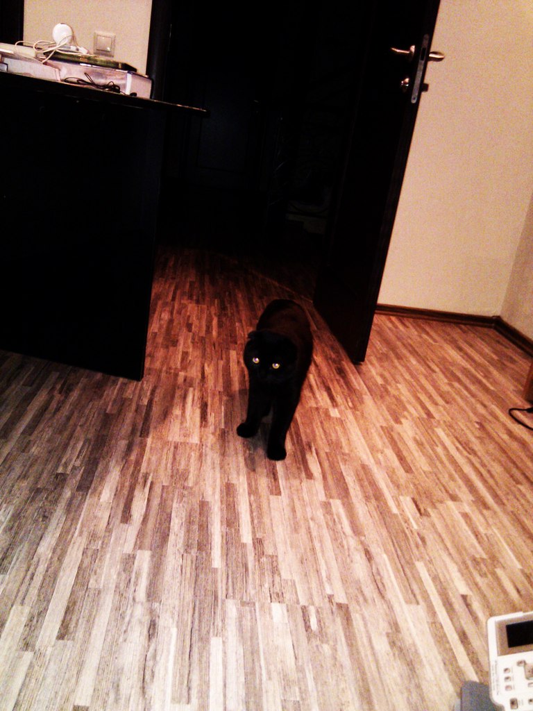 Димка Строкин ღ NIKorts ღ | Москва