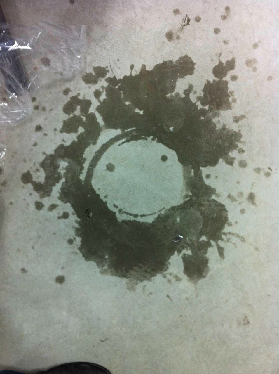 Алексей Гребенников | Сургут