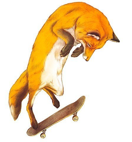 Кристина Дорофеева | 