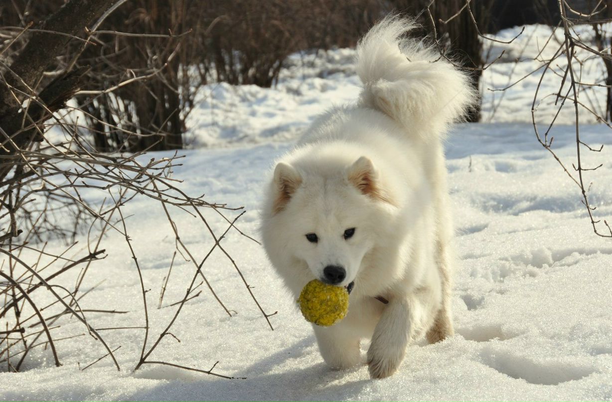 Мария Боброва | Москва