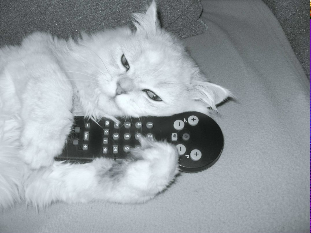 Дарья Дериглазова | Николаев