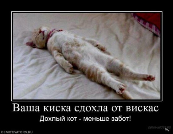 Beda Calamity | Москва
