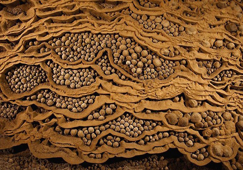 Игорь Громов | Санкт-Петербург