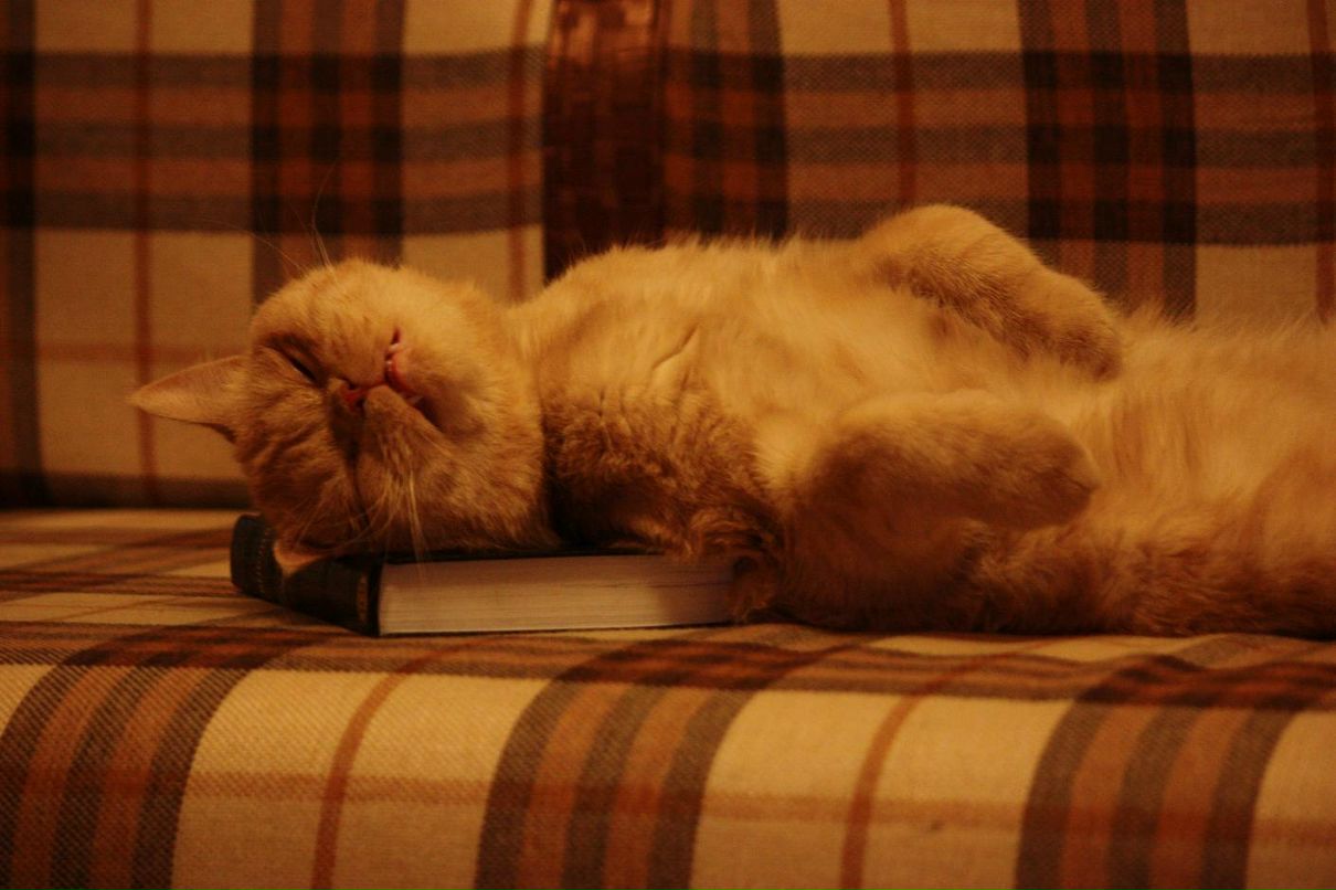 Татьяна Ханнанова | Ханты-Мансийск