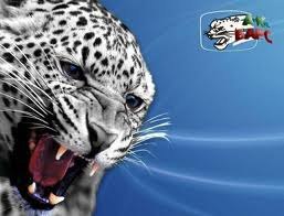 Линар Хазиев | Альметьевск