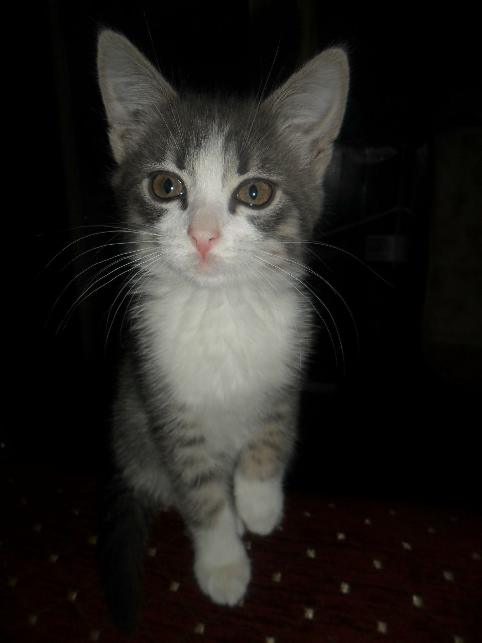 Натулька Баженова | Нижний Новгород