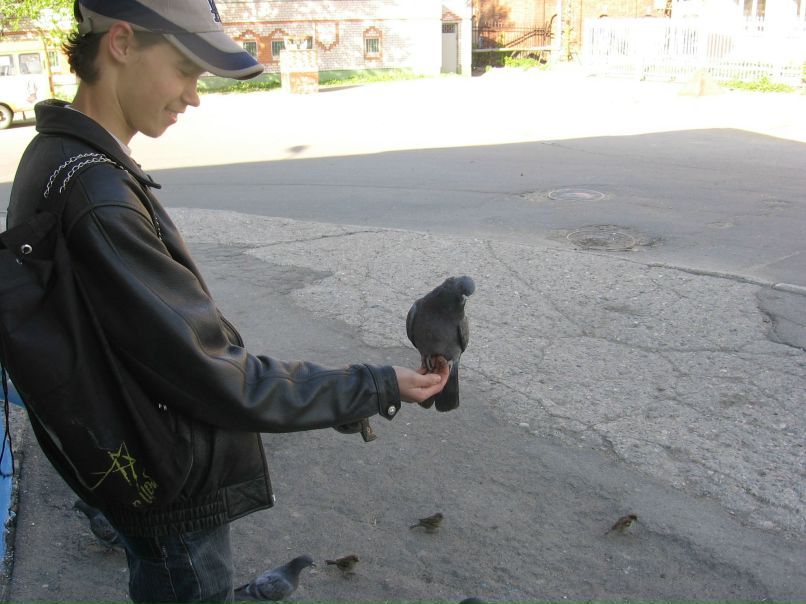 Максим Сараев | Череповец