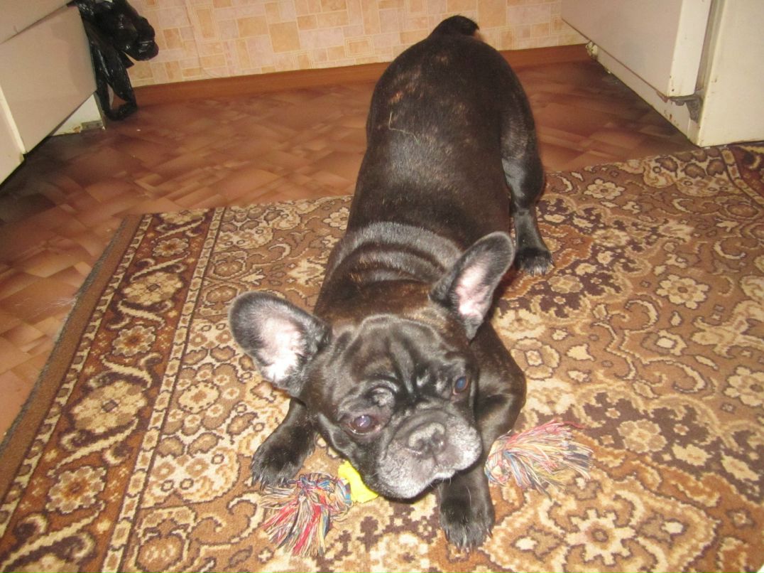 Наталья Телепнева | Нижний Новгород