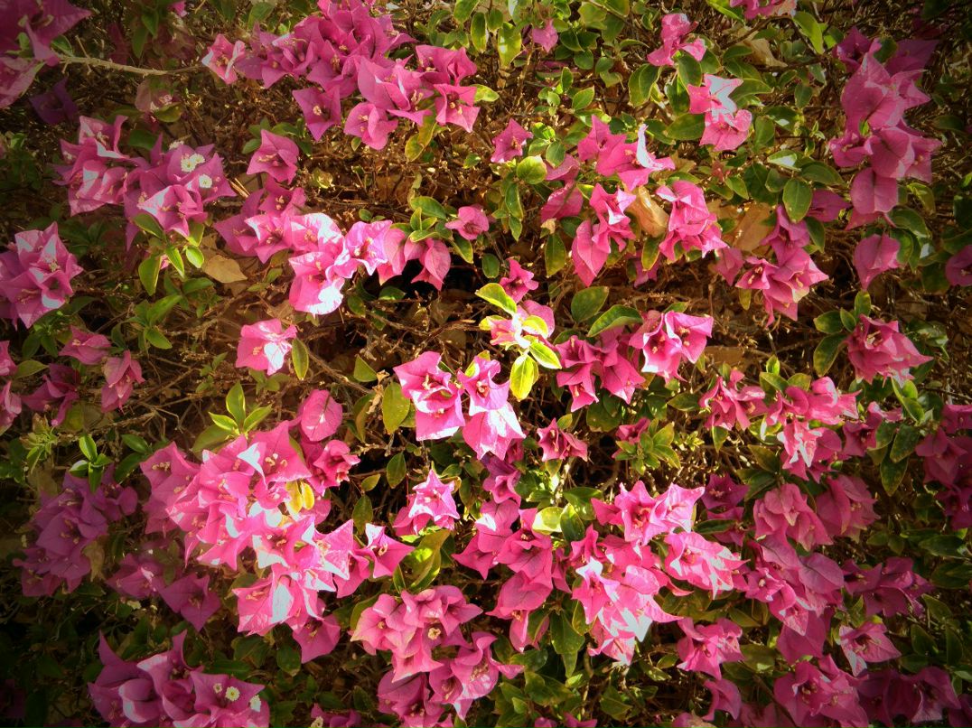 Зоя Мартынюк | Одесса