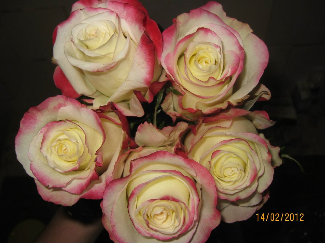 Ольга Федосеева-Мокшина | Пикалево