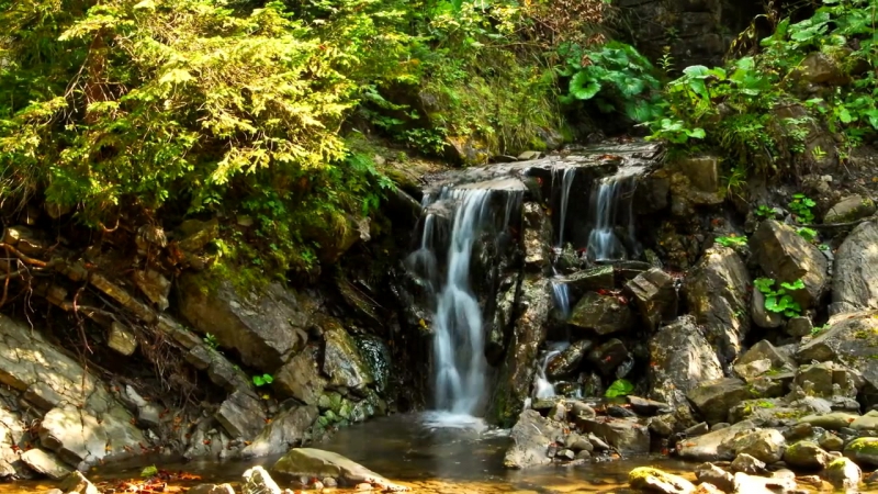 Gorce Mountains ( Time