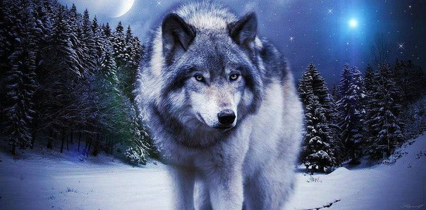 Влад Славянский, Россия, Оренбург