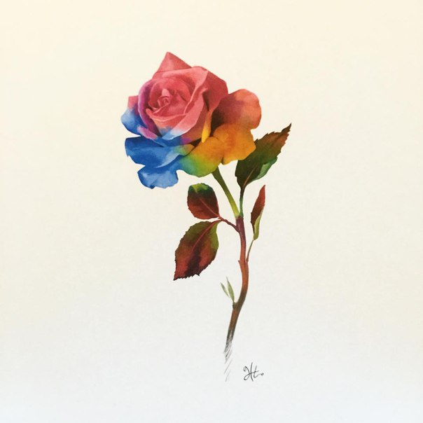 Andy Miller