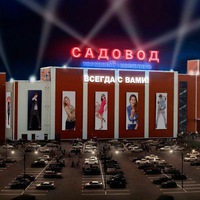 Дарья Архипова