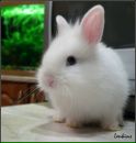Фотография Катюшка Шантурова