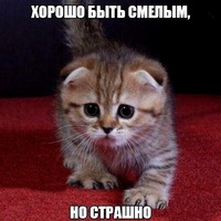 Ольга Ермолаева