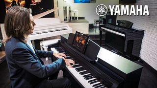 Дмитрий Маликов приглашает на открытие бренд-зоны Yamaha в “Мире Музыки“