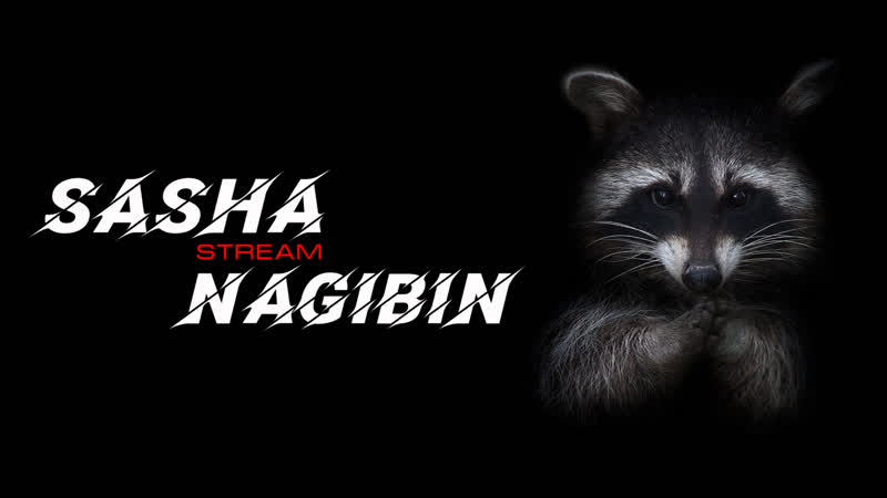 Sasha Nagibin Stream, Euro Truck Simulator