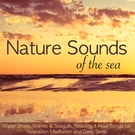 Обложка The Sound of the Sea, Waves and Seagulls - Relaxing Sounds of Nature for Deep Relaxation and Calm Mind - Tranquil Music Sound of Nature