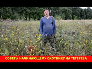 Советы начинающему охотнику на тетерева осенью