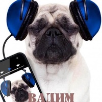 Вадим Плаксин | 