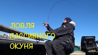 ПОВОДКОВЫЕ ОСНАСТКИ ДЛЯ ЛЕНИВЫХ. Тест нового спиннинга Viva Microfish.