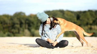 DAENERYS 【Lola MarshallDogs 】belgian malinois 3 years old!