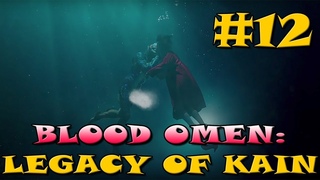 Форма иглы (Blood Omen: Legacy of Kain - Часть 12)