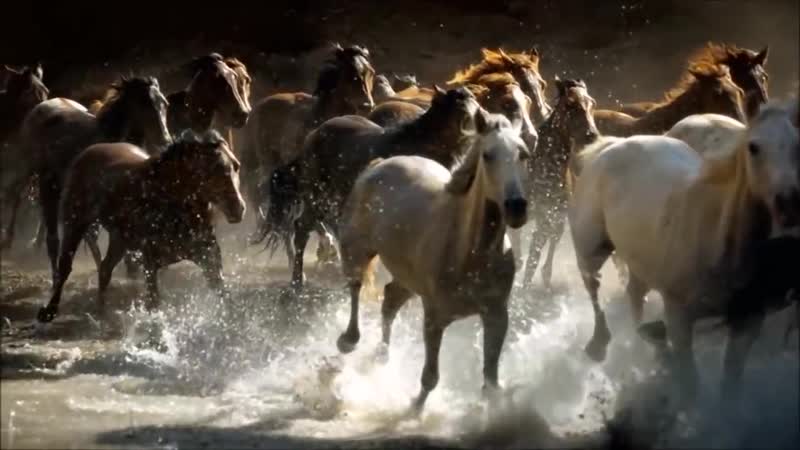 Tina Turner Simply The Best Bg