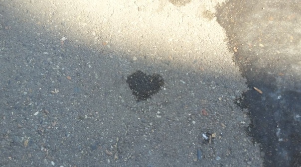 Анастасия Демидова, Россия, Уссурийск