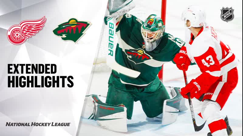 Condensed Game: DET MIN Jan 22,