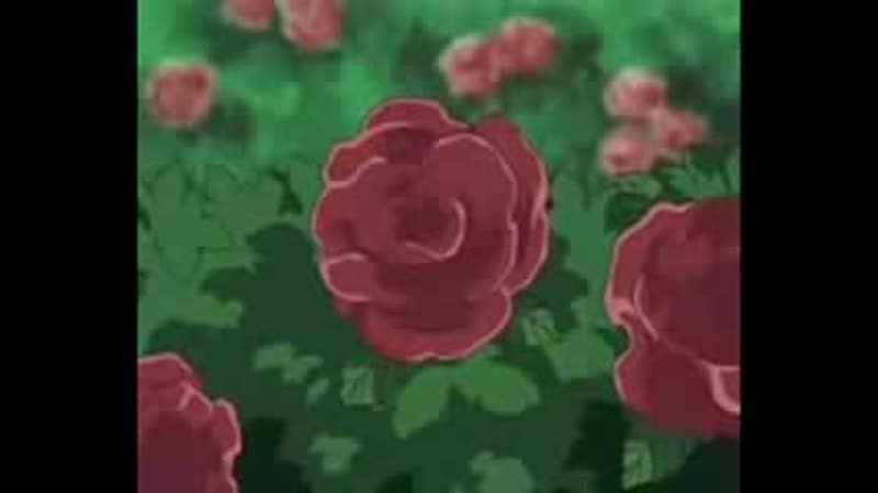 Yamata Nadeciko by
