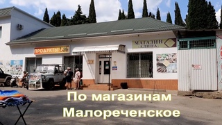 В Крым с караваном. День 22 ч. 2. Обзор цен в минимаркете и винном магазине в Малореченском.