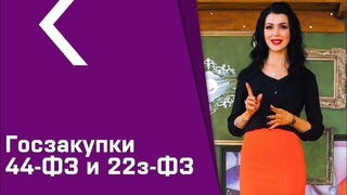 ГОСЗАКУПКИ 44-ФЗ И 223-ФЗ