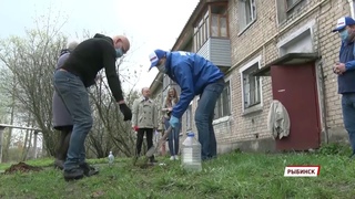 В Рыбинске волонтеры посадили кусты сирени под окнами ветерана