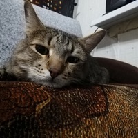 Оксана Шанина | Москва